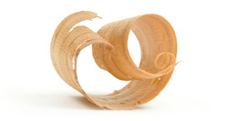 Zimmerei, Holz- und Ausbau